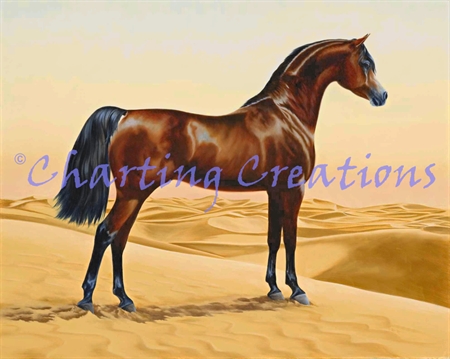 Arab Horse Kit Arab Horse Kit
